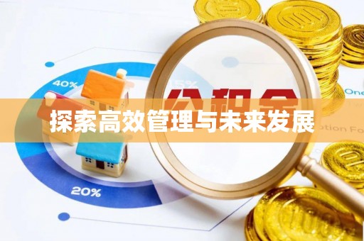 临澧探索高效管理与未来发展