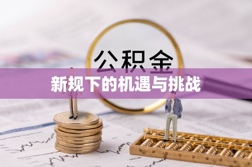 临澧新规下的机遇与挑战