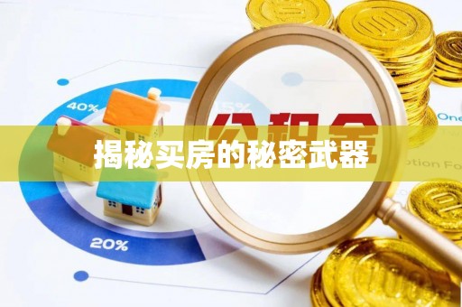 临澧揭秘买房的秘密武器