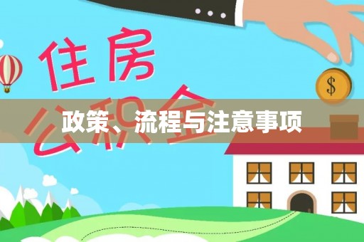 临澧政策、流程与注意事项