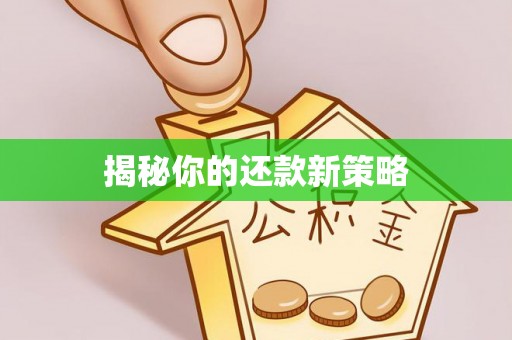 临澧揭秘你的还款新策略