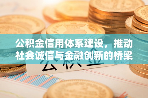 临澧公积金信用体系建设，推动社会诚信与金融创新的桥梁