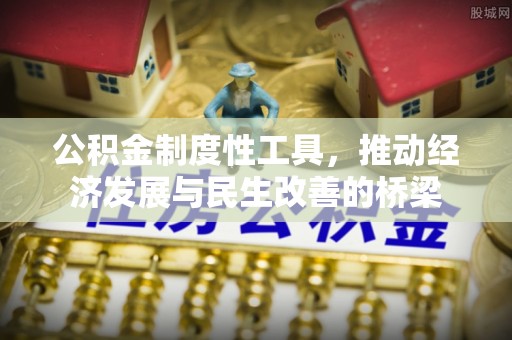 临澧公积金制度性工具，推动经济发展与民生改善的桥梁