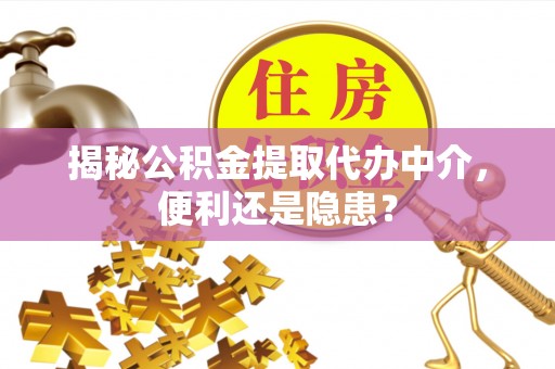 临澧揭秘公积金提取代办中介，便利还是隐患？