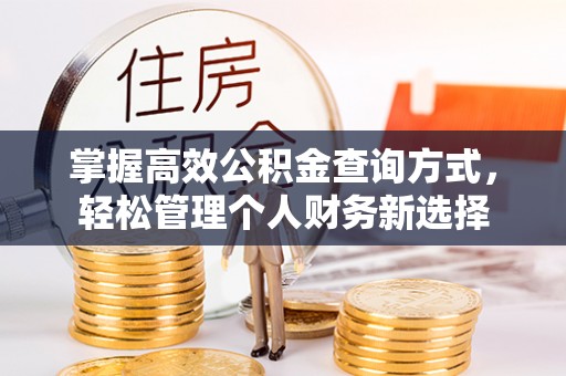 临澧掌握高效公积金查询方式，轻松管理个人财务新选择