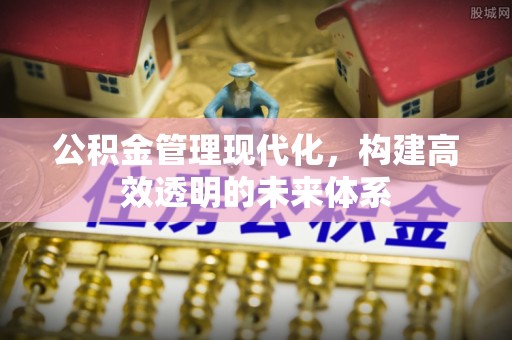 临澧公积金管理现代化，构建高效透明的未来体系