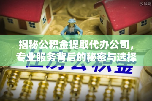 临澧揭秘公积金提取代办公司，专业服务背后的秘密与选择指南
