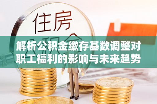 临澧解析公积金缴存基数调整对职工福利的影响与未来趋势
