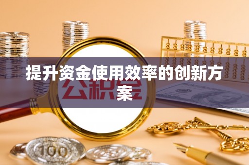 临澧提升资金使用效率的创新方案
