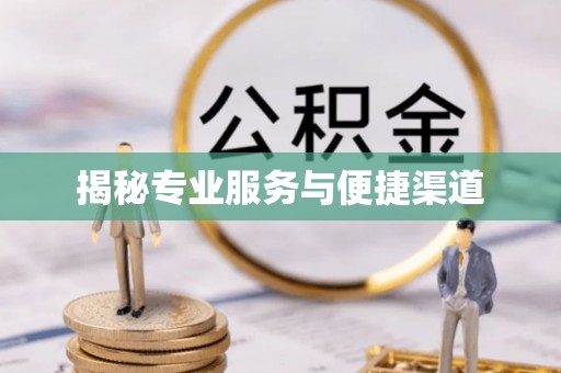 临澧揭秘专业服务与便捷渠道