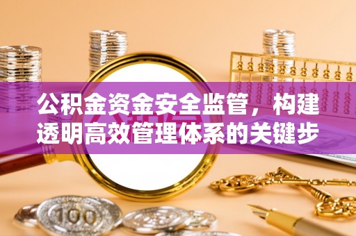 临澧公积金资金安全监管，构建透明高效管理体系的关键步骤
