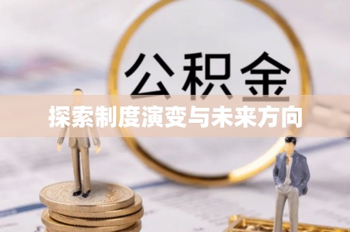 临澧探索制度演变与未来方向