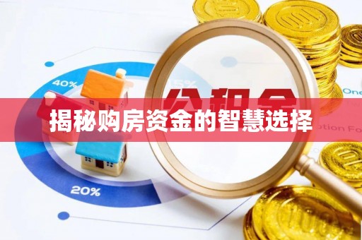 临澧揭秘购房资金的智慧选择