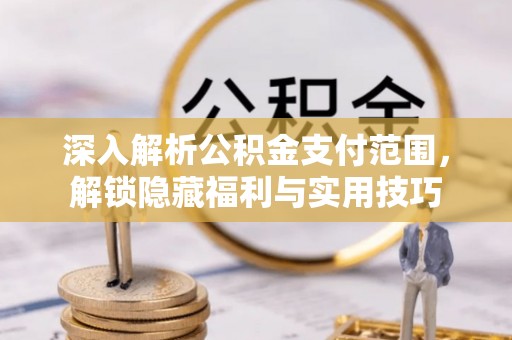 临澧深入解析公积金支付范围，解锁隐藏福利与实用技巧