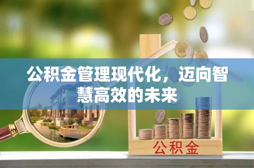 临澧公积金管理现代化，迈向智慧高效的未来