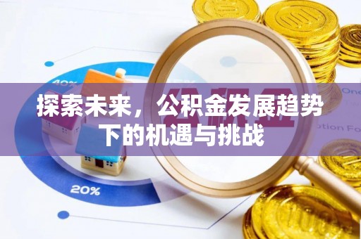 临澧探索未来，公积金发展趋势下的机遇与挑战