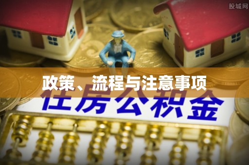临澧政策、流程与注意事项