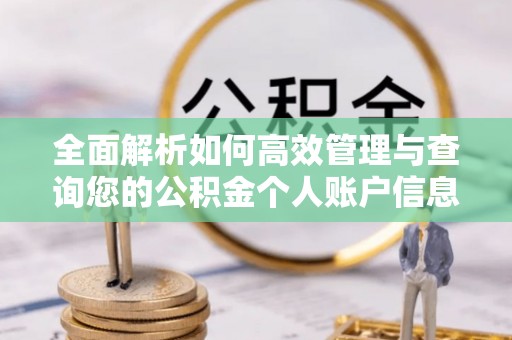 临澧全面解析如何高效管理与查询您的公积金个人账户信息