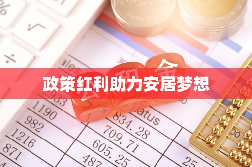 临澧政策红利助力安居梦想