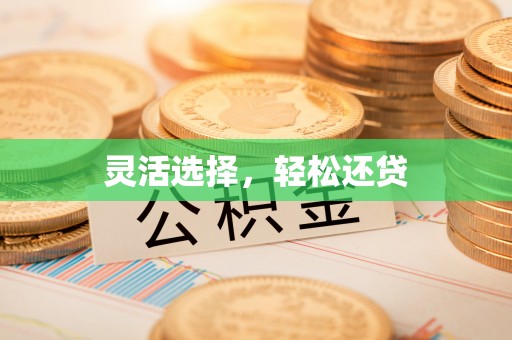 临澧灵活选择，轻松还贷