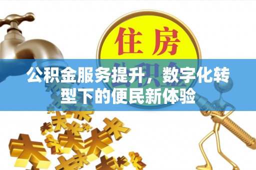 临澧公积金服务提升，数字化转型下的便民新体验