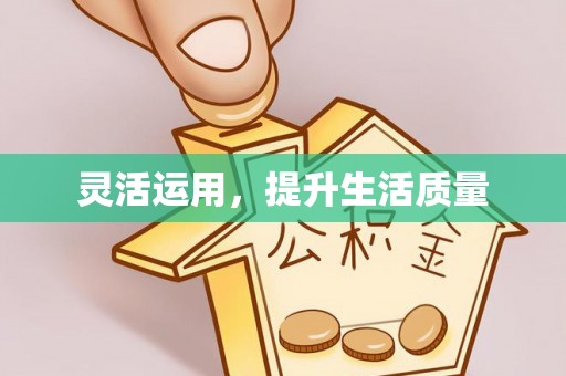 临澧灵活运用，提升生活质量