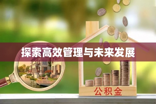 临澧探索高效管理与未来发展
