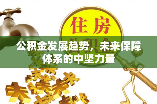 临澧公积金发展趋势，未来保障体系的中坚力量