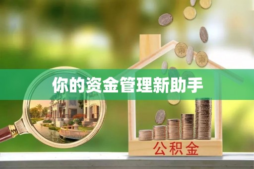 临澧你的资金管理新助手