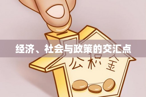临澧经济、社会与政策的交汇点
