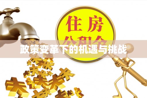 临澧政策变革下的机遇与挑战