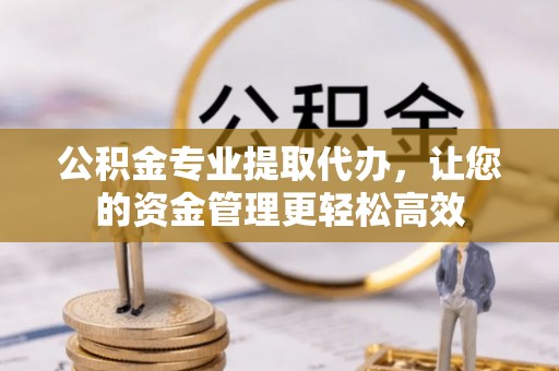 临澧公积金专业提取代办，让您的资金管理更轻松高效