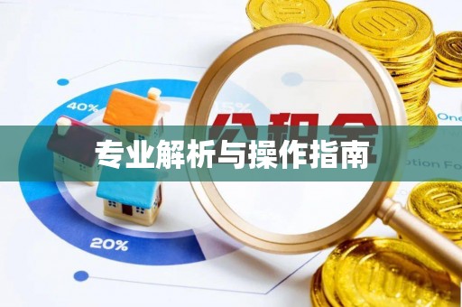 临澧专业解析与操作指南