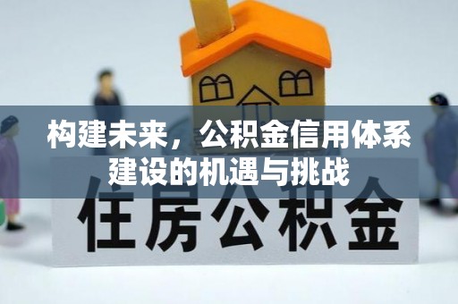 临澧构建未来，公积金信用体系建设的机遇与挑战