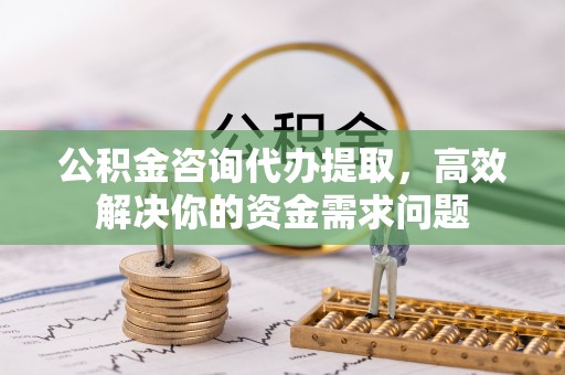 临澧公积金咨询代办提取，高效解决你的资金需求问题