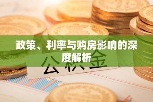 临澧政策、利率与购房影响的深度解析