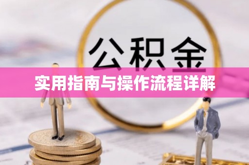 临澧实用指南与操作流程详解