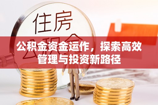临澧公积金资金运作，探索高效管理与投资新路径