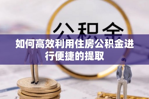 临澧如何高效利用住房公积金进行便捷的提取