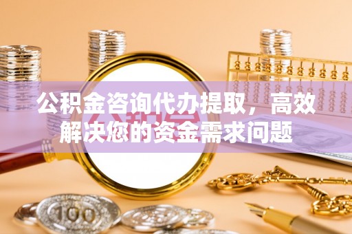 临澧公积金咨询代办提取，高效解决您的资金需求问题