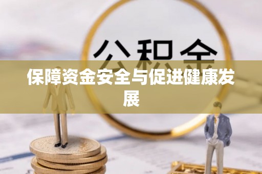 临澧保障资金安全与促进健康发展