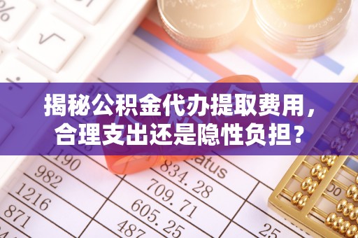 临澧揭秘公积金代办提取费用，合理支出还是隐性负担？
