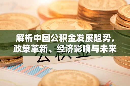 临澧解析中国公积金发展趋势，政策革新、经济影响与未来展望