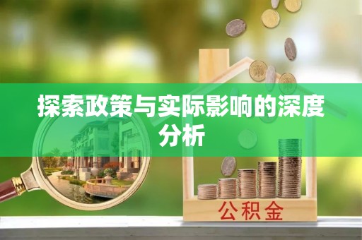 临澧探索政策与实际影响的深度分析