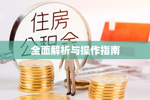 临澧全面解析与操作指南