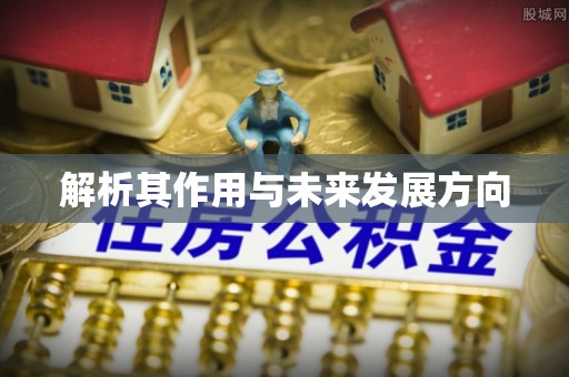 临澧解析其作用与未来发展方向