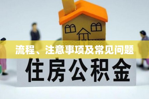 临澧流程、注意事项及常见问题