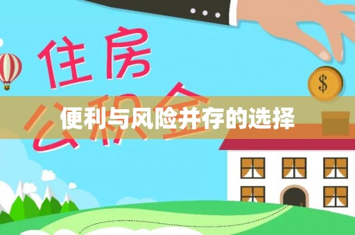 临澧便利与风险并存的选择