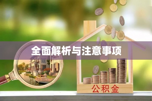 临澧全面解析与注意事项