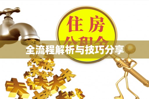 临澧全流程解析与技巧分享